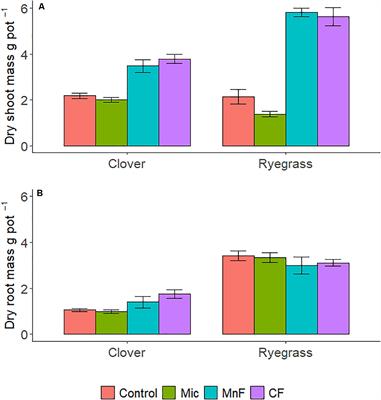 Plant-Dependent Soil Bacterial Responses Following Amendment With a Multispecies Microbial Biostimulant Compared to Rock Mineral and Chemical Fertilizers